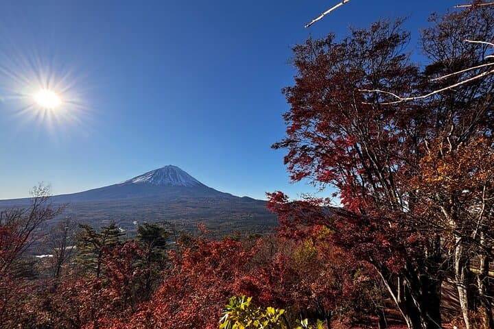 Mt Fuji Sunrise and Scenic Tour Private Journey to Experience