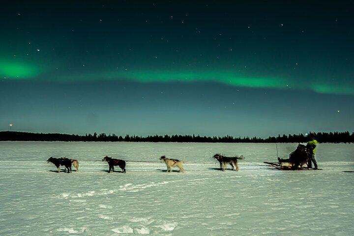 Aurora Borealis Hundeschlittentour