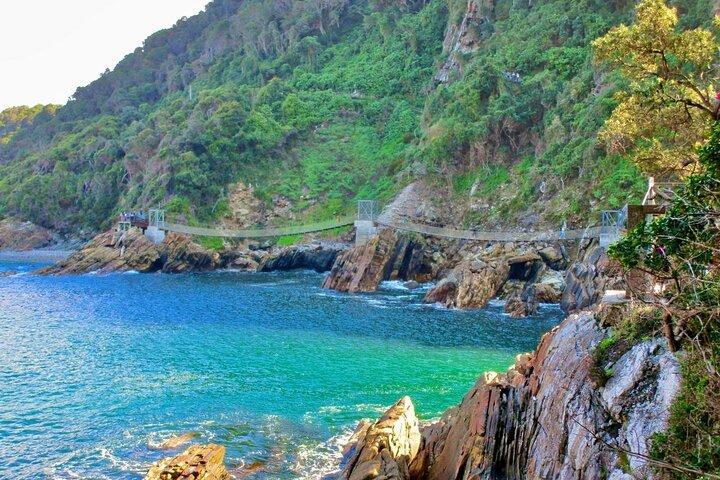 Excursion d'une journée à Tsitsikamma depuis Port Elizabeth