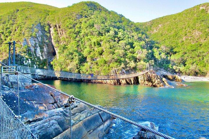 Excursion d'une journée à Tsitsikamma depuis Port Elizabeth
