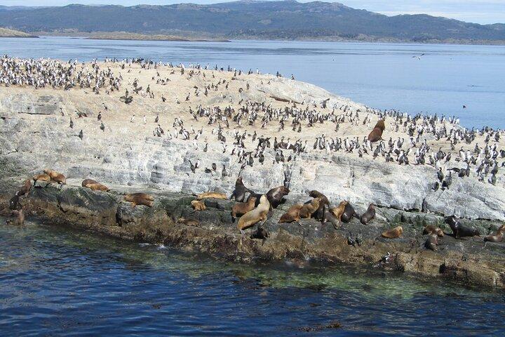 Navigation i Beagle Channel med minitrekking USHUAIA