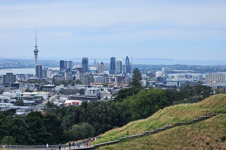 Visite guidée d'une demi-journée à Auckland City
