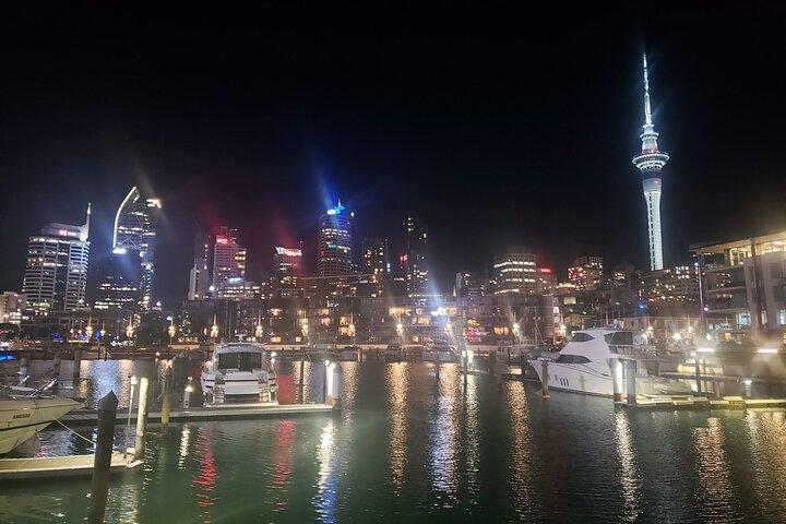 Visite privée d'une demi-journée à Auckland City