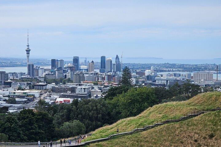 Visite privée d'une demi-journée à Auckland City