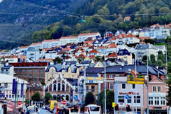 2 dagars tur Bergen till Flåm Næroyfjord Sognefjord och Hardangerfjord