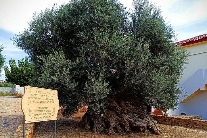 Tailor-Made Private Shore Excursion: Discover Chania Your Way