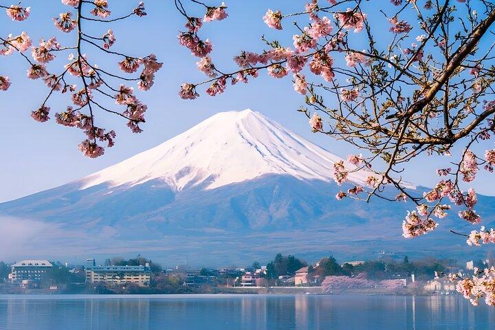 東京富士山＆河口湖ロープウェイ＆抹茶グループ旅行