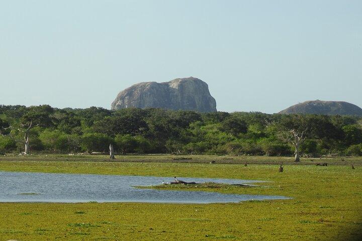 Spezielle Yala-Safari ab Hambanttota Hafen Yala Nisha Safari