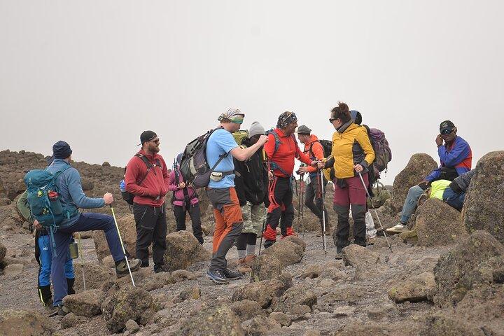 6 dages Kilimanjaro vandretur | bestige Kilimanjaro Machame Route