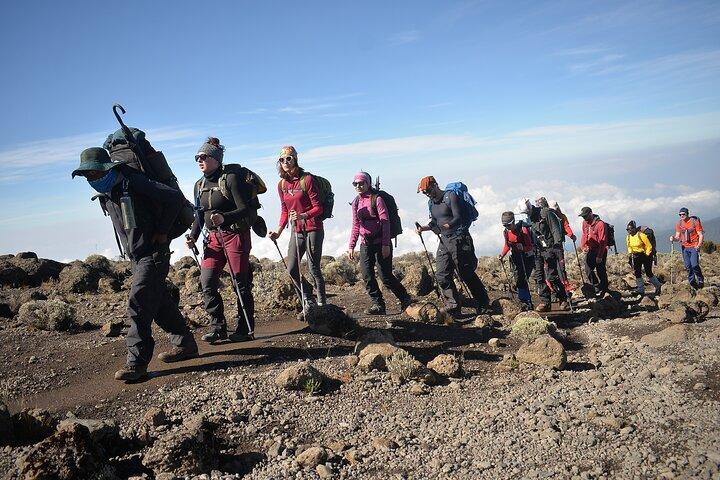 6 dages Kilimanjaro vandretur | bestige Kilimanjaro Machame Route
