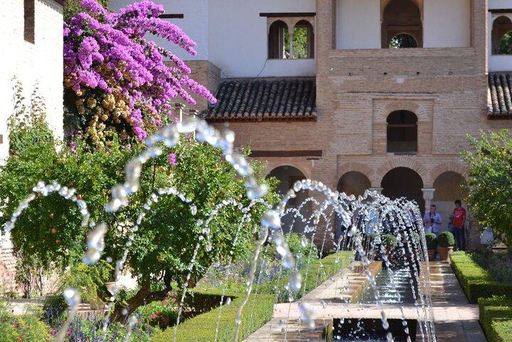 Discover Granada : Alhambra Tour or Free Time from Malaga