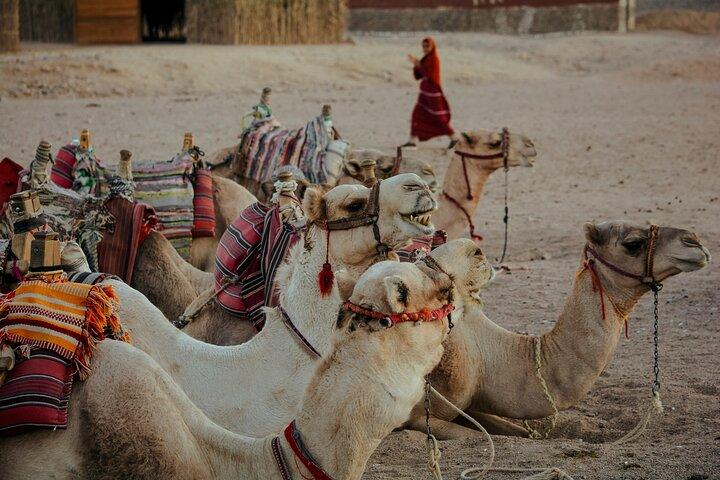 4-day tour from Marrakech to Merzouga
