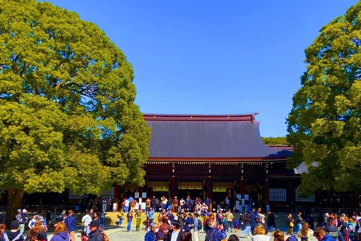 Harajuku Highlights: Where Tradition Meets Tokyo Pop