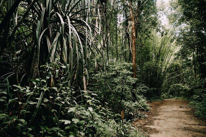 2 dage Khao Sok tur med overnatning på Cheow Lan Lake fra Phuket