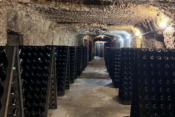 Dia do Vinho da Loire de Paris com o Castelo de Chambord e 6 degustações