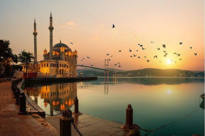 Guided Sightseeing Tours