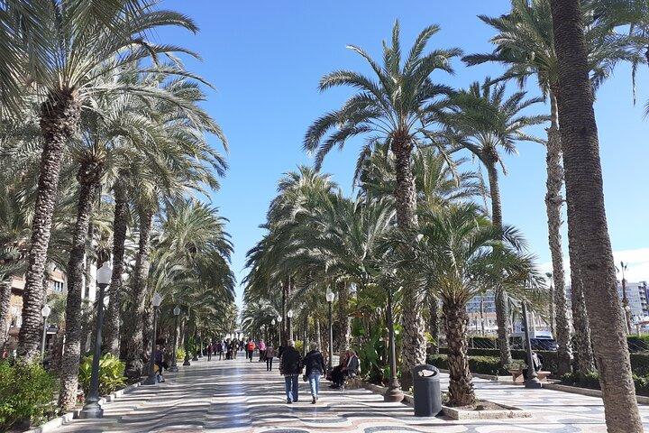 Privat vandretur til Alicante