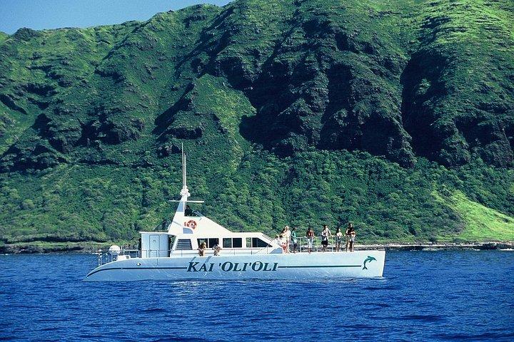 3ジップラインアドベンチャーと3時間半の午後シュノーケルクルーズ