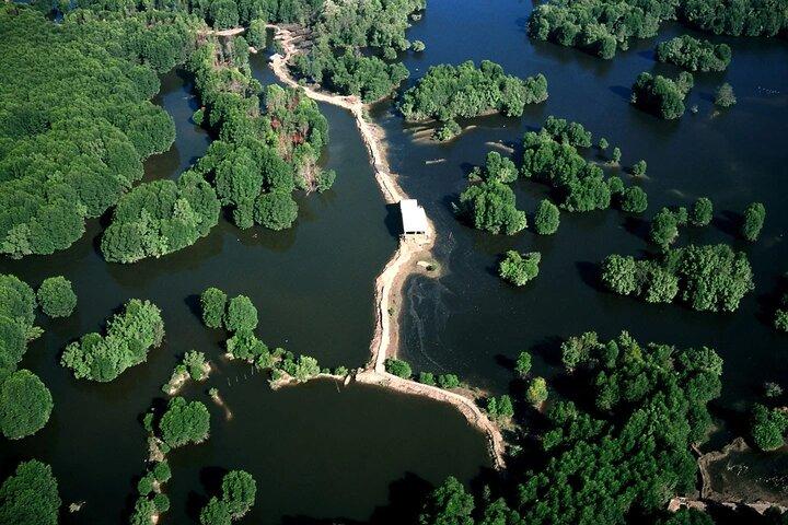 Tour privato alla scoperta di Monkey Island e mangrovie