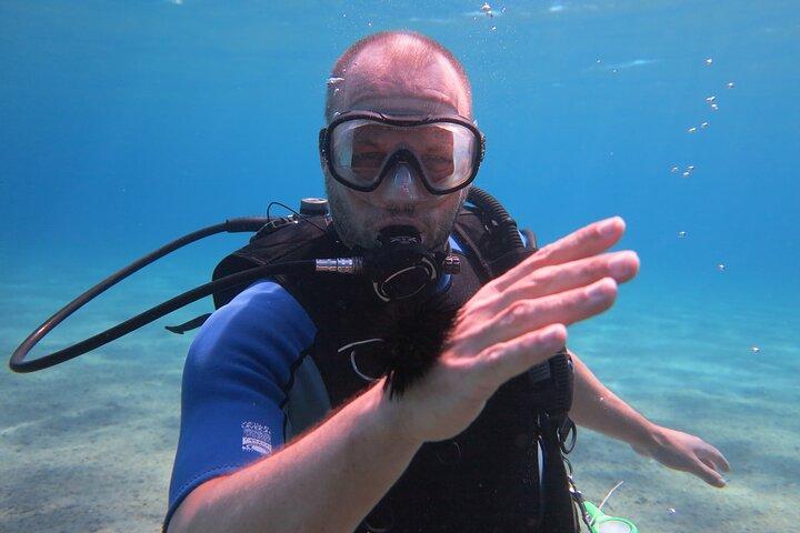 Lets Go Diving med hämtning från hotellet