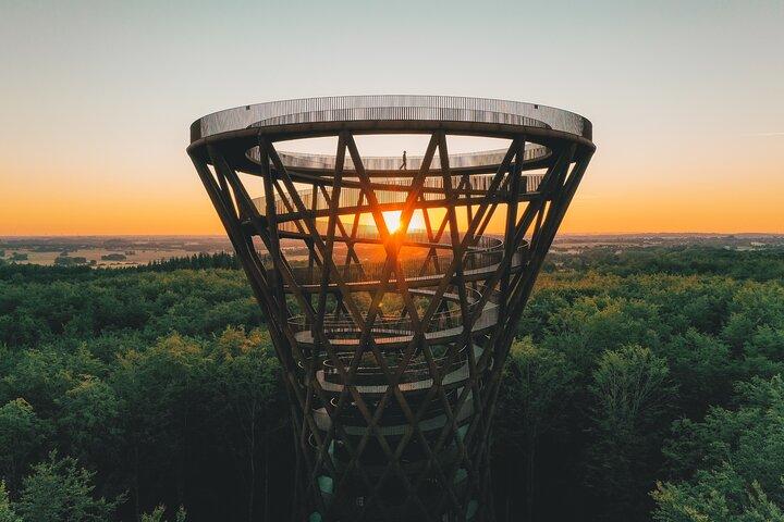 The Forest Tower e Forgotten Giants: un tour di un giorno da Copenaghen