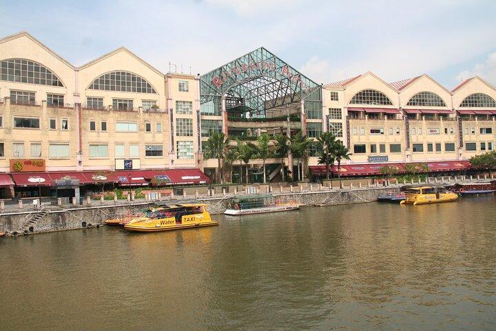 Singapore Private Tour with a Driver