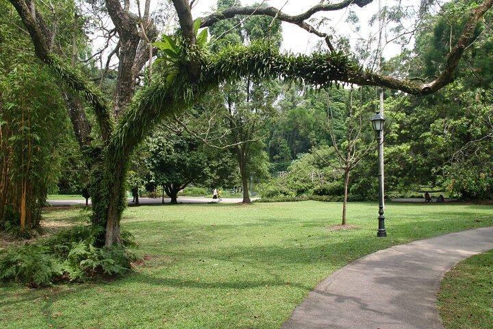 Singapore Private Tour with a Driver