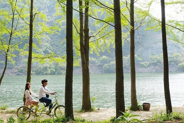 Nami Island avec le jardin du matin Calme Rail Vélo de Séoul
