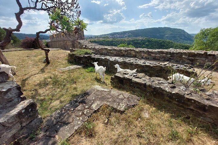 Privat dagstur till Bulgarien och Veliko Tarnovo från Bukarest
