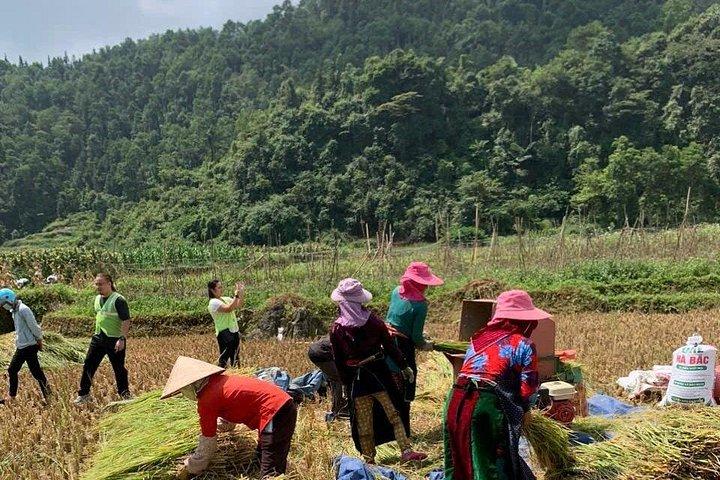4日間ハザンループ、カオバン、バンギオック滝