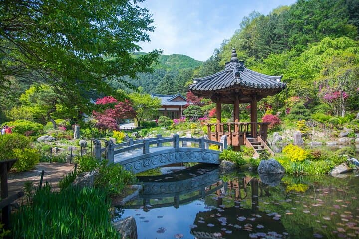 Day Trip to Nami Island with The Garden of Morning Calm