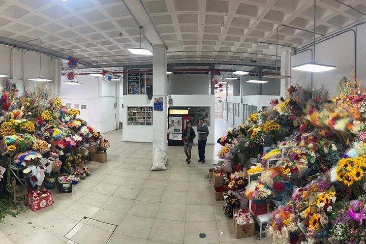 プライベートキトシティツアー、ローカルマーケット、赤道線＆ケーブルカー