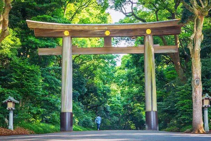 東京: 明治神宮散策ツアー ～神道と天皇制～