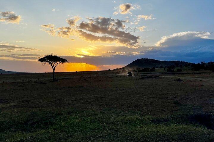 5-dagars privat Masai Mara National Reserve Safari Tour