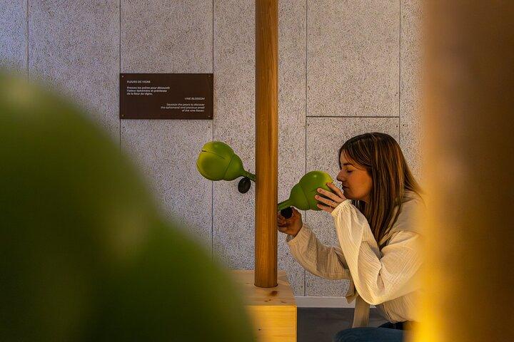 試飲付きシャンパーニュの中心にあるプレッソリアへの入場券
