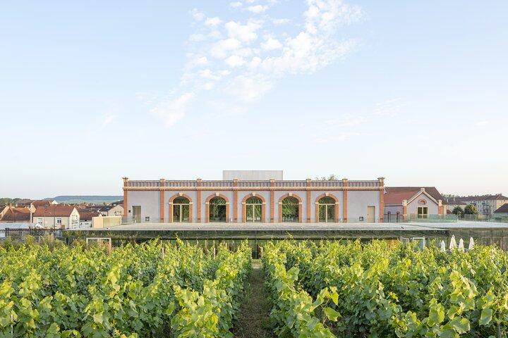 Bilhete de entrada para Pressoria no coração de Champagne com degustação