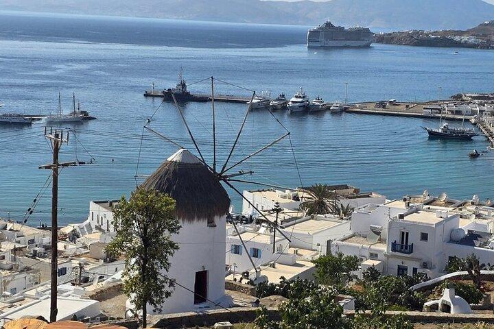 Excursão privada em Mykonos Island Skip The Lines