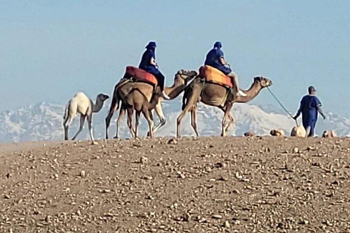 Marrakech flygplatstransfer