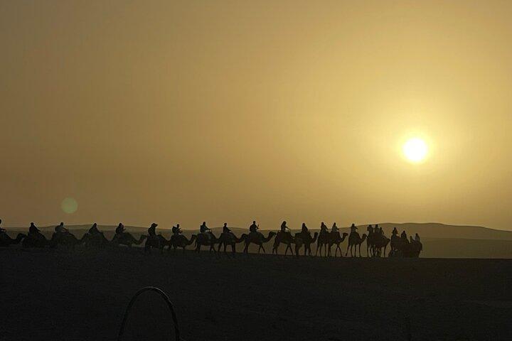 Agafay Desert Sunset, Camel Ride and Dinner from Marrakech