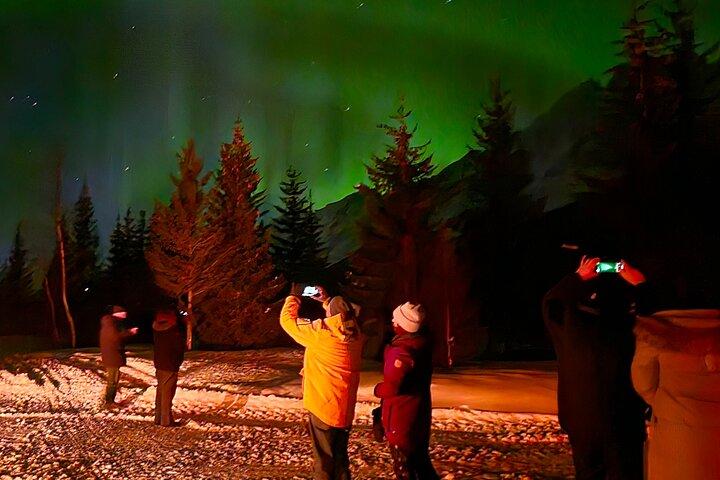 Nordlichter-Tour, Tromso, lokaler Guide, privates Basislager