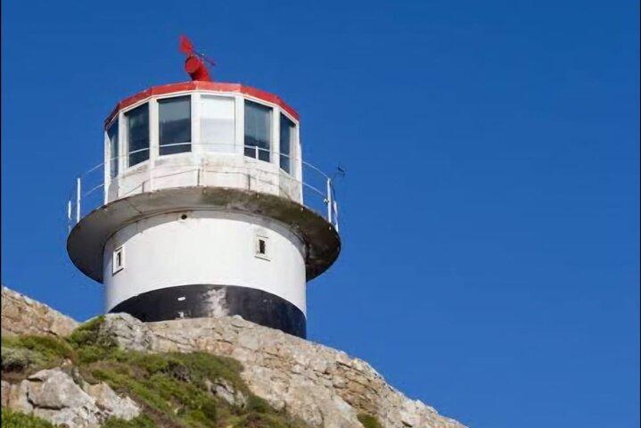 Excursion d'une demi-journée en groupe à Cape Point et Muizenberg Beach