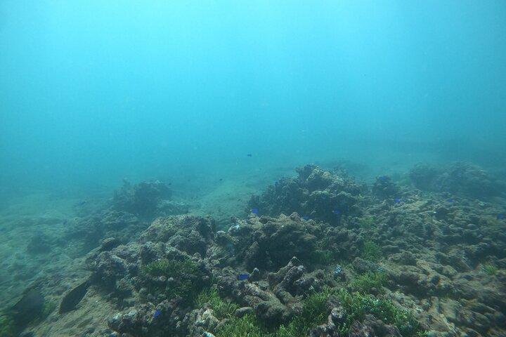 Snorkling i Unawatuna