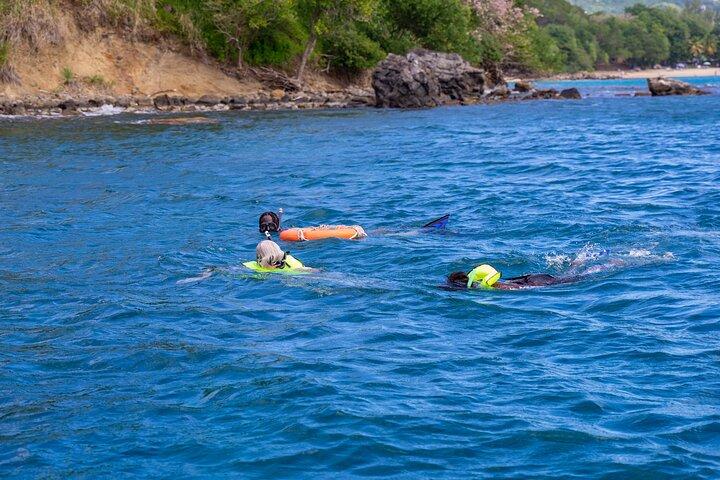 Snorkling på Pigeon Island