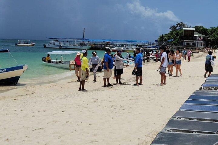 Roatan Horseback Ridding Zipline Snorkeling west Bay Beach Break