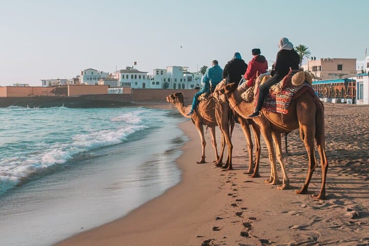 Essaouira Camel Rides In The Beach