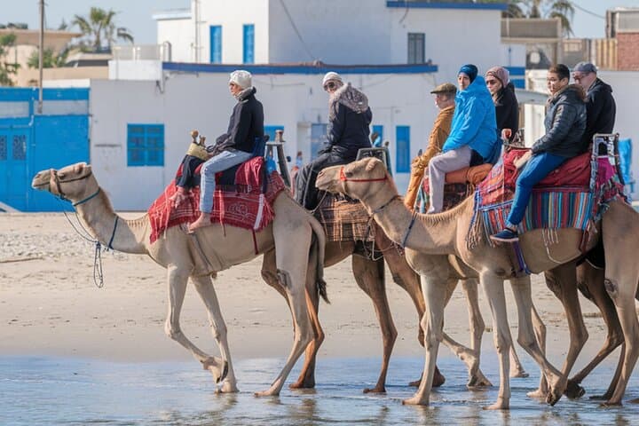 Essaouira Camel Rides In The Beach