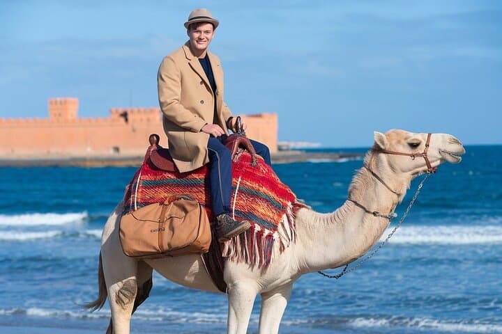 Essaouira Camel Rides In The Beach