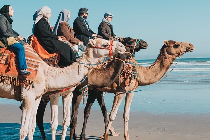 Essaouira Camel Rides In The Beach