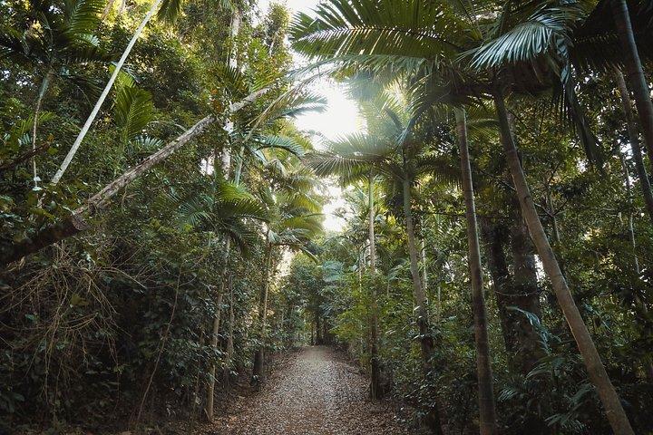 Christ the Redeemer Trail x Lage Park