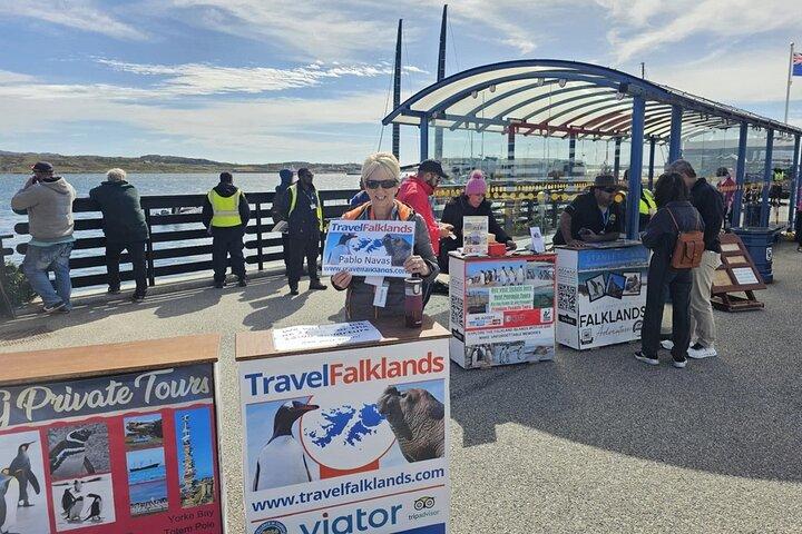 Falklandsöarna Delad rundtur Sightseeing med pingviner